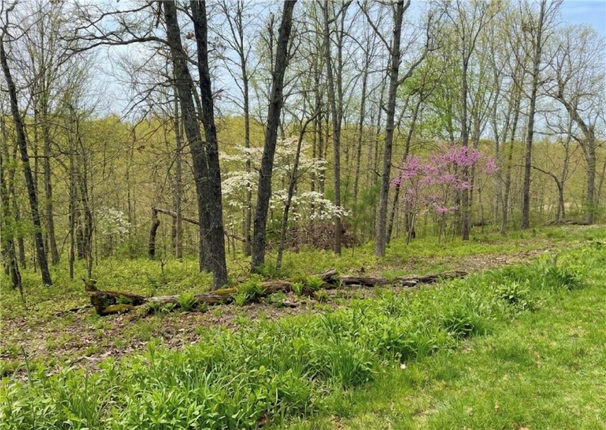 Exceptional opportunity to own a rare, nearly 0.80-acre homesite on quiet, paved Halladale Lane. This oversized lot offers the space and flexibility to build your ideal home while enjoying a peaceful, established setting. Conveniently located near golf, trails, streams, parks, & the amenities of Lake Loch Lomond, this property blends natural beauty with lifestyle appeal. Situated in a growing area near the Missouri border with easy access to shopping & Hwy 71, this lot presents strong potential for both personal use and long-term value. Secure your slice of paradise before prices escalate with upcoming improvements such as the Oz Trails Bike Park, the Little Sugar Creek Restoration Project, & Phase III of the Bella Vista Master Trail Plan. See MLS #’s 1341411, 1341353, 1341315, & 1341279 for additional lots included in a discounted portfolio purchase option.