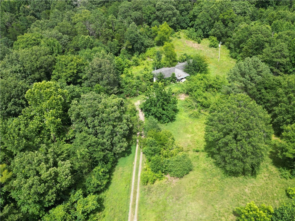 Endless possibilities on nearly 7 flat, usable acres with utilities already in place! This 6.91-acre property offers a peaceful, private setting with a long gravel driveway winding through a variety of mature treesāincluding several producing fruit. With electric, water, and septic already on site, youāre ahead of the game whether you plan to build your dream home, bring in a new manufactured home, or take on a renovation project.
The existing mobile home is in poor condition and will need either major repairs or removal, but it clears the way for your vision with minimal red tape. The land has been partially cleared and is easy to walk and workāideal for gardening, animals, or simply enjoying the quiet country life. With no restrictions, your options are wide open!
If youāve been waiting for a piece of land thatās ready to go without starting from scratch, this one checks all the boxes. Come and see the potential for yourself!