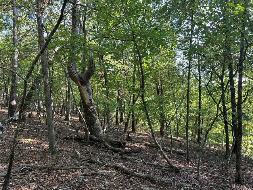 Landlocked property in the woods.