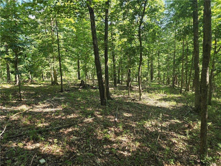 Perfect opportunity to build your dream home on this +/- 1.54-acre wooded residential lot, located just 5 miles from the Beaver Lake Boat Ramp and Lakeshore. Tucked away in a secluded, peaceful setting, this property offers a quiet rural lifestyle with convenient access to town. Electric is already available on-site, while a water well and septic system will be needed. With County Zoning, the current site plan is preliminary and can be tailored to suit your needs in both size and shape, offering flexibility for your ideal build. Esculapia Hollow Rd is currently a dirt road, however, it is set to be paved this summer. Ideally situated approx. 3.5 miles from Lake Atlanta, 4 miles from Downtown Rogers, and 6 miles from Horseshoe Bend Marina, this lot provides the best of both worlds - tranquil living with easy access to outdoor recreation, shopping, dining, and more. Don't miss out on this prime piece of Northwest Arkansas real estate!