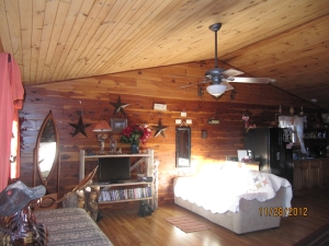 Have your very own Ozark Mountain get-away cabin with this custom Amish built log cabin on 4 acres within minutes to the Buffalo National River!! Small storage shed & appliances convey. Secluded and private and just a 1/2 from Hwy 103/Hwy 43 intersection, excellent location! 1 mile from Center Point Trailhead. 5 minutes to Ponca & 1 hour to Fayetteville area.