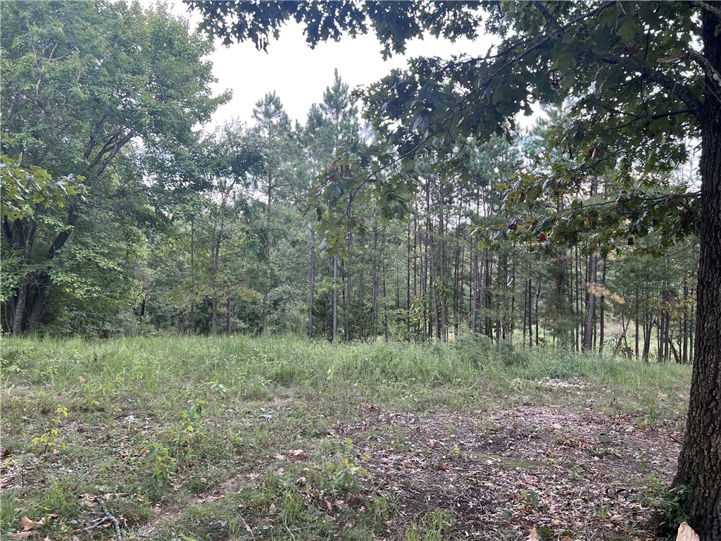 Moark Land Co #2 Un. 202 - Land