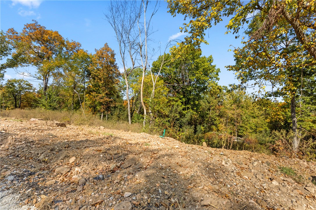 Round Mountain Estates - Land