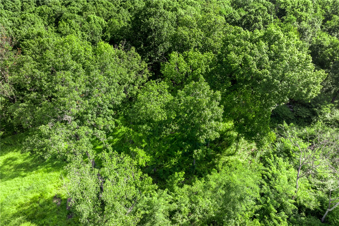 Round Mountain Estates - Land