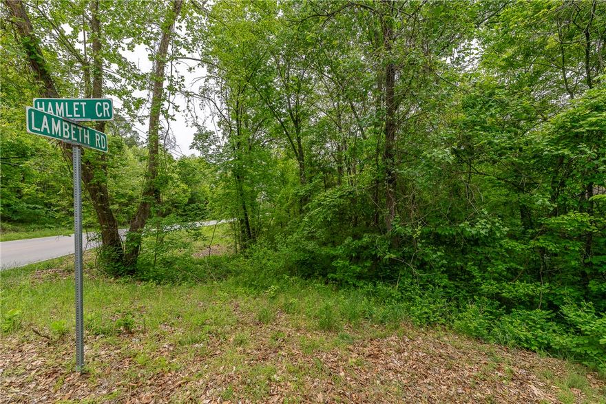 Relatively flat Sewer Lot on the corner off Lambeth. Near Blowing Springs Park, Mountain Biking Trails and New Oz Trails bike park is less than one mile away.