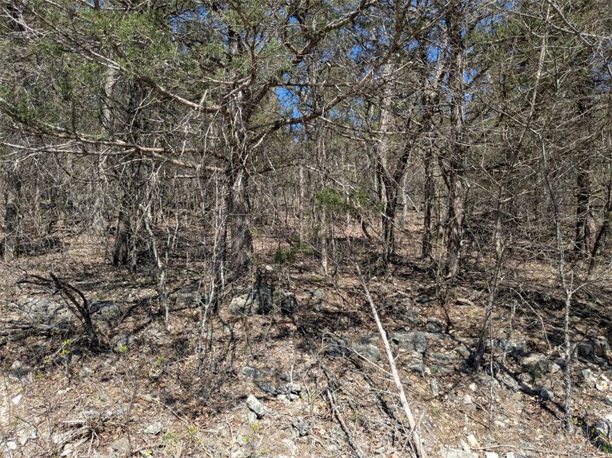 Ready to build your dream home? Quiet and gently wooded, this lot with water and electric available at the street gives you the best of both worlds. Enjoy the amenities in Holiday Island like golf courses, a country club, swimming, tennis and a marina with a fishing dock or watch the local fauna from your back deck! Nearby Eureka Springs or Rogers offer great shopping and vibrant cultural hubs.