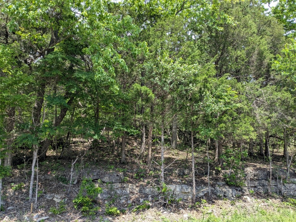 Unit 5 Holiday Island - Land