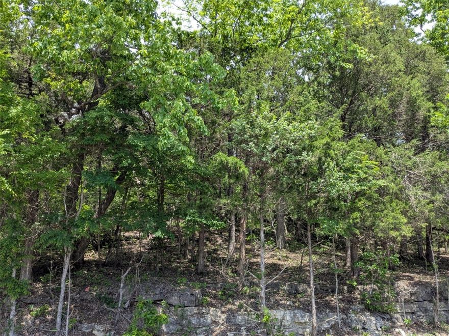 Ready to build your dream home? Quiet and gently wooded, this lot with water and electric available at the street gives you the best of both worlds. Enjoy the amenities in Holiday Island like golf courses, a country club, swimming, tennis and a marina with a fishing dock or watch the local fauna from your back deck! Nearby Eureka Springs or Rogers offer great shopping and vibrant cultural hubs.