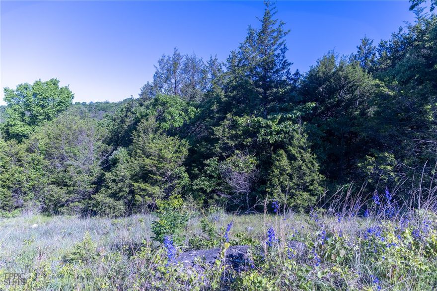 Your secluded Ozark Sanctuary. Escape to 15.25 pristine acres of lush Arkansas woodland, perfectly situated for those seeking ultimate privacy without sacrificing convenience. Located just 5 minutes from Grandview and a scenic 20-minute drive to the historic charm of Eureka Springs, this property offers the best of both worlds. This build-ready site features level topography, dominated by mature forest that ensures a permanent sense of seclusion. With highway frontage for easy access, it is the ideal canvas for a custom cabin, a modern homestead, or a recreational retreat. Utilities: On-site septic and well needed; electricity nearby. Freedom: No deed restrictions or covenants. Whether you’re looking to hunt, hike, or finally build that dream home tucked away from the world, this Berryville beauty is ready for your vision. Bring your blueprints and discover the quiet life in Berryville!