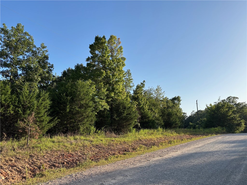 Nice wooded parcel fronting county road. Multiple secluded home sites possible. Easy county road access. Within an hour or less of Bull Shoals and Norfork Lakes, the Buffalo and White Rivers, and numerous hiking, camping, fishing, hunting, swimming, canoeing, and sight-seeing venues. A great place for your Ozark Home or Get-A-Way. Buyer to confirm availability of utilities. Taxes are an estimate.