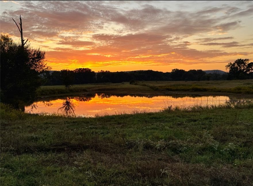 Come view this 62.55 stunning acres, where nature meets endless possibilities! This property boasts a mobile home 3 bed 2 full bath 1,050, multiple ponds, all gracefully nestled next to the serene Chickalah Creek. Imagine the lifestyle you could create here—whether it’s crafting your dream home amidst open pastureland, a hobby farm, or raising livestock. With views of Mount Nebo and Spring Lake Mountain, this land is a canvas for your imagination, offering a perfect blend of space, privacy, and natural beauty. Don’t miss this rare opportunity to own a piece of paradise—where the only limit is your creativity! What dream are you ready to cultivate here?