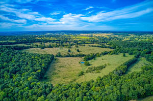 BEAUTIFUL acreage for your farm life! This private property has Building sites for your dream home in the country! This property is a must see! Comes with a pond, fenced and cross fenced, a barn AND A Creek! ALL this privacy AND only7 miles from Harrison! BE sure to view the video! Don't miss out on this beautiful property!