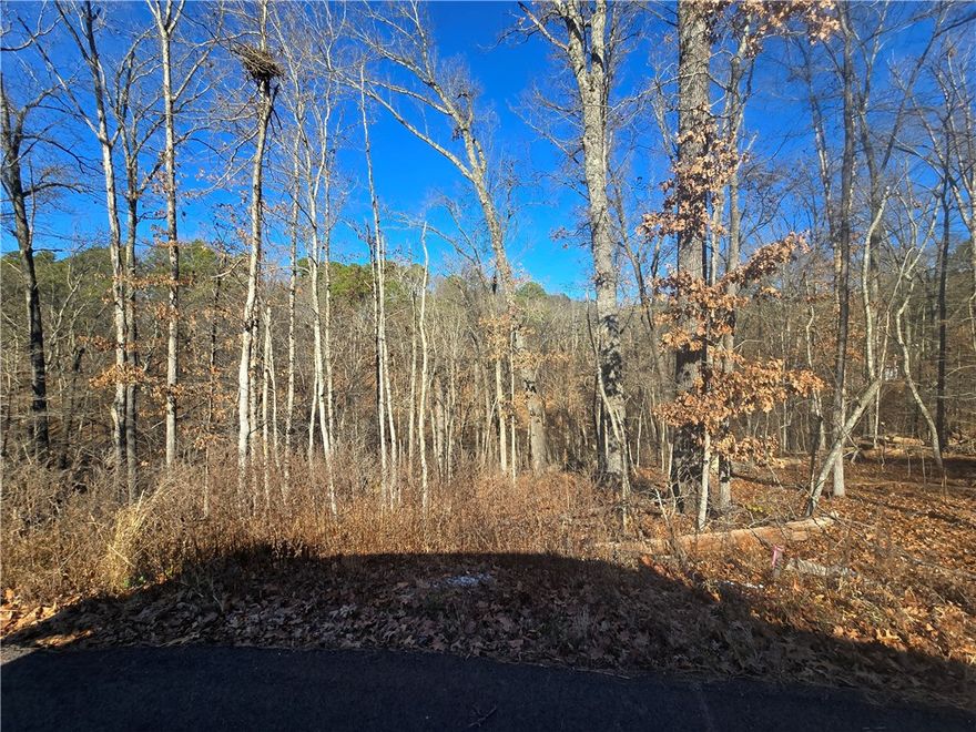 Spacious 0.35-acre cul-de-sac lot in a prime NWA location—perfect for your next 3-bedroom home! Located in the sought-after Bentonville School District and just minutes from bike trails, lakes, and all the best of Northwest Arkansas. A rare find with plenty of room to design your ideal property. Don't miss this opportunity! Perc test is available!