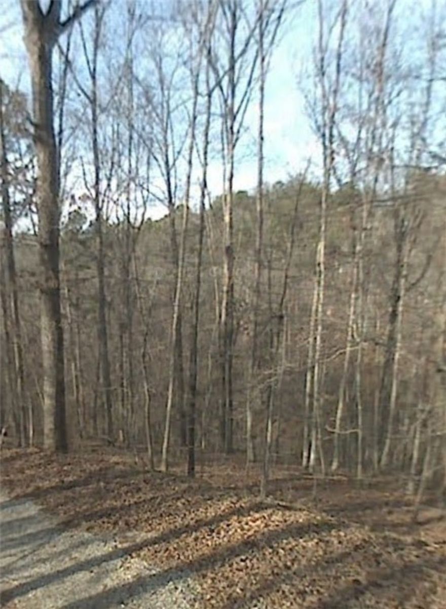 Spacious 0.35-acre cul-de-sac lot in a prime NWA location—perfect for your next 3-bedroom home! Located in the sought-after Bentonville School District and just minutes from bike trails, lakes, and all the best of Northwest Arkansas. A rare find with plenty of room to design your ideal property. Don't miss this opportunity! Perc test is available!