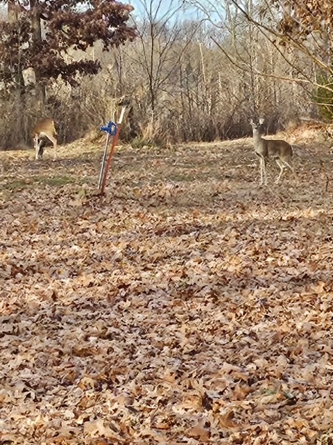 29-21-33-RURAL - Residential