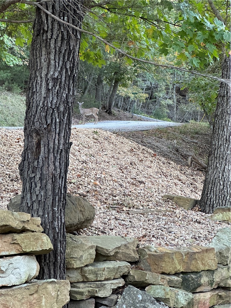 Lost Bridge Village Rurban - Residential