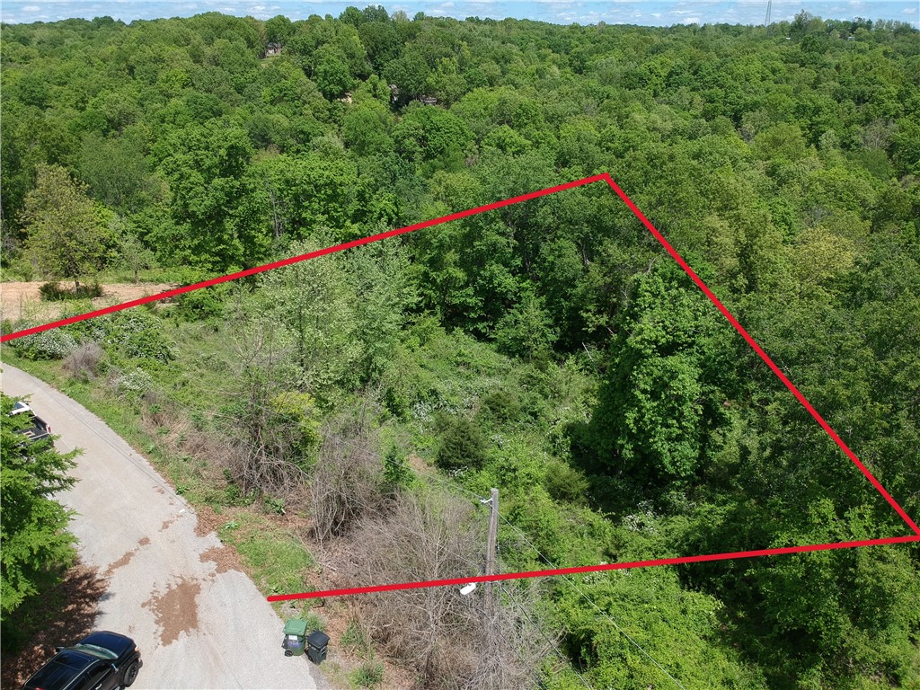 2.46 acres ready to build less than 1/2 mile from Beaver Lake and Monte Ne boat ramp, 10 minutes to downtown Rogers. Wooded, sloping lot down to wet weather creek. No covenants. New construction home, barndominium or personal storage building, the possibilities are endless.