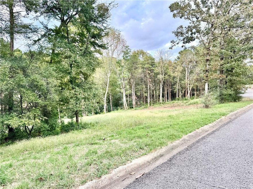 Discover one of the few remaining opportunities to build in this sought-after neighborhood. This 1-acre lot sits among beautiful, well-kept homes where pride of ownership shows throughout. Enjoy the peaceful setting, mature surroundings, and the convenience of being close to town while still tucked away in a quiet, established area.
Perfect for your dream home!