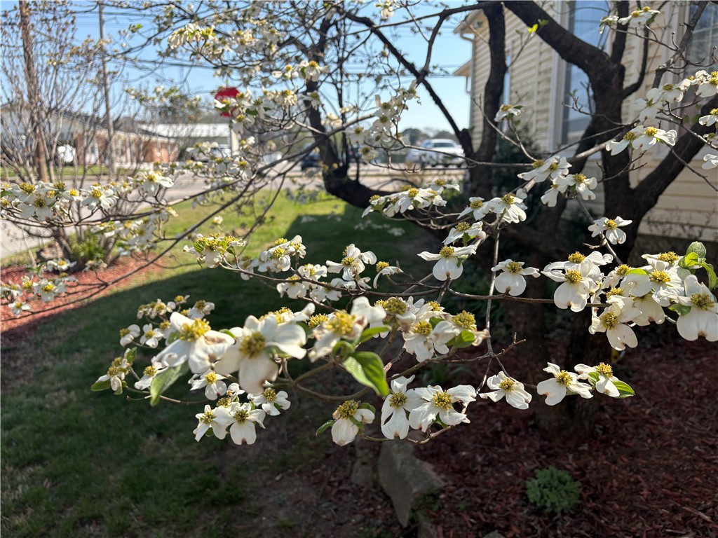 Freeman-BVC - Residential