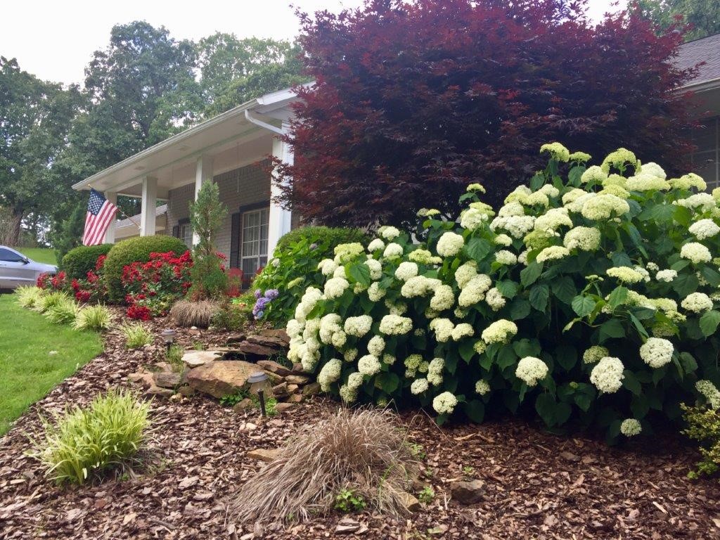 Woodcliff - Residential