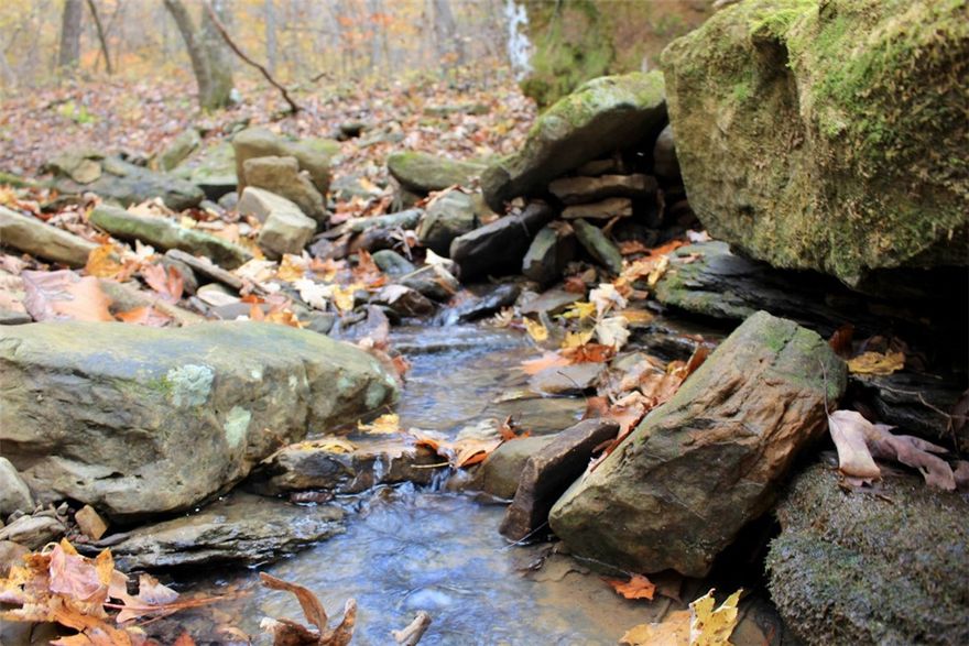 10 acres nestled just west of the historic Reeves community, near the Madison/Newton county line. Enjoy convenient county road frontage and available electricity, thanks to an existing easement along the north side of the tract. The tract features a flat bench along the road, leading to three more benches that cascade down to the creek. Property borders over 250,000 acres of national forest, offering unparalleled access to nature—imagine leaving your cabin and hiking for days without ever leaving the national forest! Discover unique features like a hand-stacked rock wall and diverse timber, ranging from young growth to mature white and red oak. Don’t miss the small mountain creek frontage with big boulders and bluff walls. Although many small springs trickle thru this creek most months it will go dry in the heat of summer. Located within 30 minutes of Kings River Falls, the Buffalo River headwaters, Boxley, Ponca, Kingston, and Huntsville, this land offers both seclusion and accessibility to local attractions.