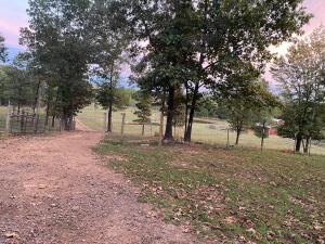 41.63 acres beautiful place to build your dream home. Great house site with utilities at site and driveway to building site. No restrictions. This acreage is fenced and crossed fenced pasture ready for your animals