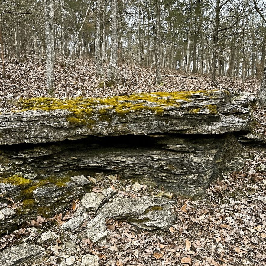 45.7± acres south of Ash Flat with approx. 350’ of highway frontage. A winding drive through an arched entryway leads to a hilltop homesite with valley views. Two concrete pads in place—42’ x 40’ for a home, 36’ x 40’ for a shop—with utilities including city water, NAEC electricity, NEXT Fiber internet, and septic. Rolling topography with open ground, marketable hardwood timber, and trails throughout. Surface water includes a small pond and seasonal creek, with potential for an additional pond in the valley. Abundant wildlife: deer, turkey, and small game—live on the front and hunt on the back. Ideal for a private residence, recreational retreat, hunting property, or small farm. Convenient location ½ mile south of Ash Flat city limits while offering privacy and Ozark seclusion. No restrictions.