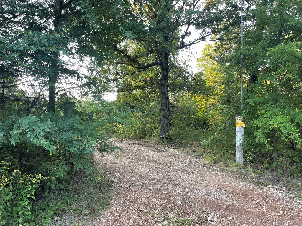 Don't miss this 41 acres m/l of gently rolling, wooded land. Enjoy the convenience of county road frontage with the privacy that timber provides. Suitable for a primary residence or weekend get away. Prime location with a country feel yet accessible to amenities and Hwy 412. Electric at the road. Call to take a look!