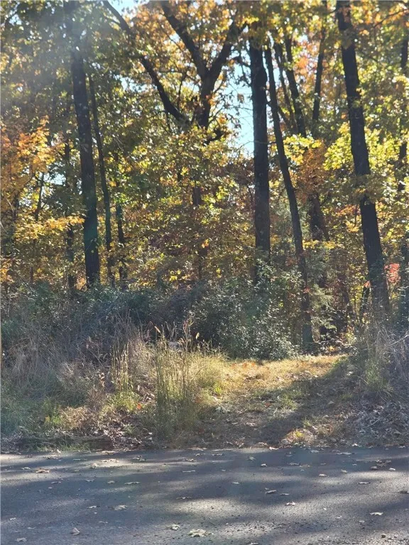 Bella Vista, Arkansas 72714, United States, 3 Bedrooms Bedrooms, ,3 BathroomsBathrooms,Residential,Active,225251