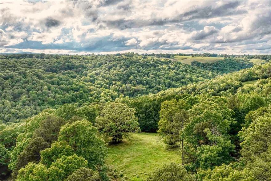 125+/- Acres of Ozark Mountain Beauty – Water, Trails, and Untouched Potential!  Discover a rare opportunity to own a slice of paradise in the heart of the Ozarks! This stunning 125+/- acre property offers a captivating blend of natural beauty and recreational opportunity. Featuring a year-round spring, a seasonal creek, and multiple ponds, water is abundant and adds tremendous character to the land.  Wander through trails already established for ATV use or hiking, and enjoy the diverse terrain dotted with native fruit trees and wild berries—ideal for nature lovers, homesteaders, or outdoor enthusiasts. Whether you're seeking a private retreat, hunting haven, or a place to build your dream home, this land delivers.  Seller is open to dividing the property, providing flexible options for buyers with different needs and visions.  Located in the scenic Ozark Mountains, this land offers peace, privacy, and endless potential. Come explore it and imagine the possibilities!