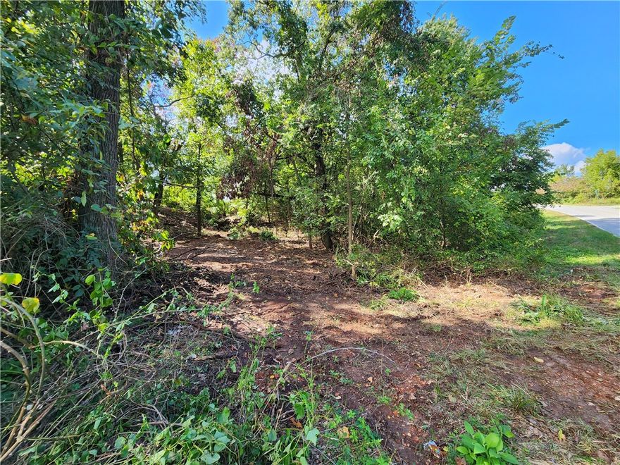 Golfer’s Paradise! Build your beautiful dream home on this .33-acre lot! Beautiful, flat golf course frontage lot located on the 17th Green on Highlands Golf Course (longest of the BVV courses and offers driving, pitching, chipping & putting greens). Near Lake Loch Lomond marina, Branchwood Recreation Center’s gym & indoor pool, pickle ball court, disk golf, walking trail, and more! Perfect commuter to Bentonville. Lots in this area of Bella Vista are flatter than its southern neighbors. Immerse yourself in the natural beauty of the Ozarks, enjoy Bella Vista’s amenities, recreational resort-style living, and get away from the hustle & bustle!