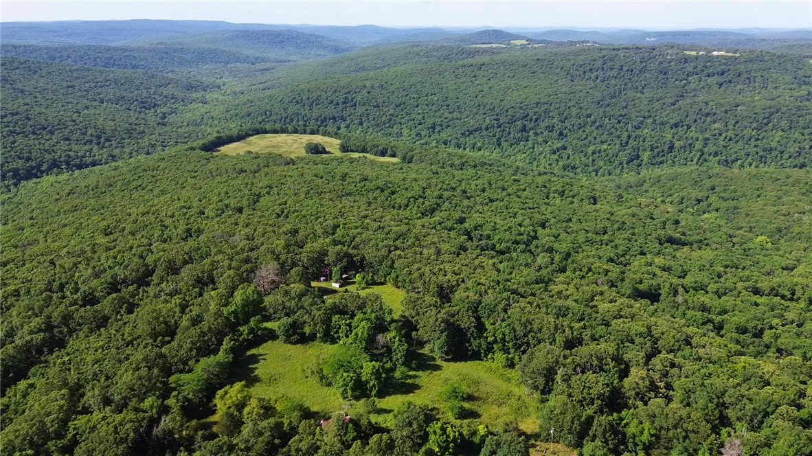 Photo 1 of 34 — 120 Acres Zinnamon Church Road, West Fork, AR 72774