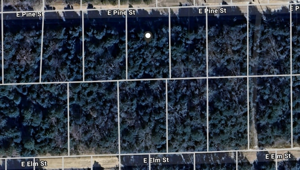 Nice vacant wooded lot