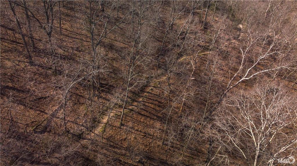 Sussex Sub Bvv - Residential