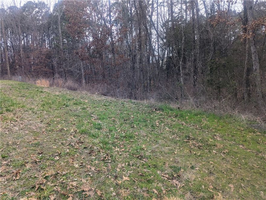 Beautiful lot in Bella Vista. Enjoy the privacy and abundant wildlife as this lot is surrounded by a large area of common property on two sides.  This gem combines easy access to town and amenities as well as being a retreat to peaceful and quiet living. The gentle lay of the land lends itself to many homestyle possibilities. Less than one mile to access the Tunnel Vision bike trail!