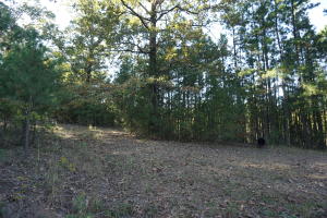Riverview Acres - Residential