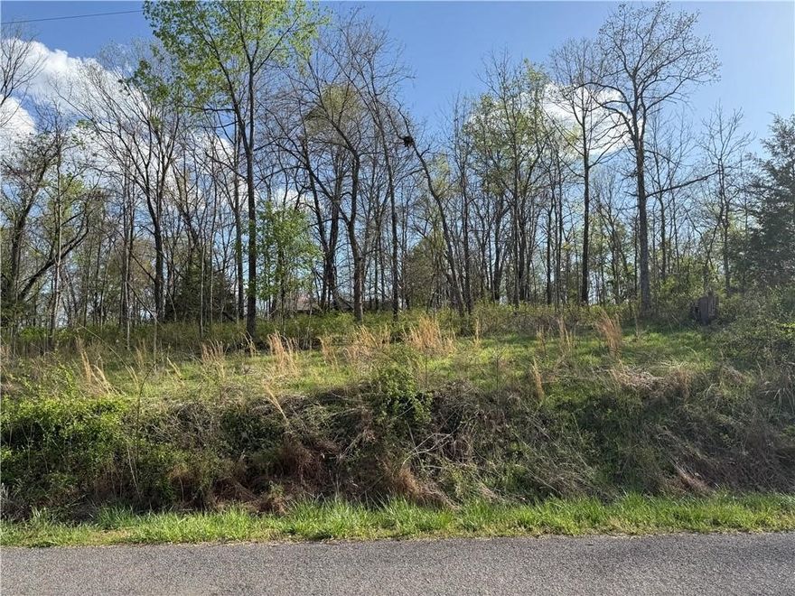 Build your dream home in Bella Vista. This listing includes lots 7 and 8, sold together for a combined total of 0.53 acres on Dunkeld Dr, offering a great seasonal view of Lake Loch Lomond—Bella Vista’s largest lake, perfect for boating, fishing, and kayaking. Enjoy access to 7 lakes, 7 golf courses, swimming pools, fitness centers, and over 100 miles of scenic trails.