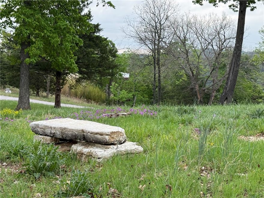 Perched at one of the highest elevations in Holiday Island, this exceptional .36-acre corner lot (MOL) offers beautiful hillside views and an open, airy setting. The elevated position provides a wonderful vantage point to take in the surrounding landscape and enjoy the natural beauty of the area.

Ideally located just minutes from the executive golf course, pickleball courts, and marina, with easy access to the clear waters of Table Rock Lake for boating, fishing, and lakeside recreation. Everyday conveniences, dining, and services are close by, while the charm, art, and history of Eureka Springs are just 5 miles down the road.

A fantastic opportunity to build your home in a well-located, amenity-rich community with year-round recreation at your fingertips.