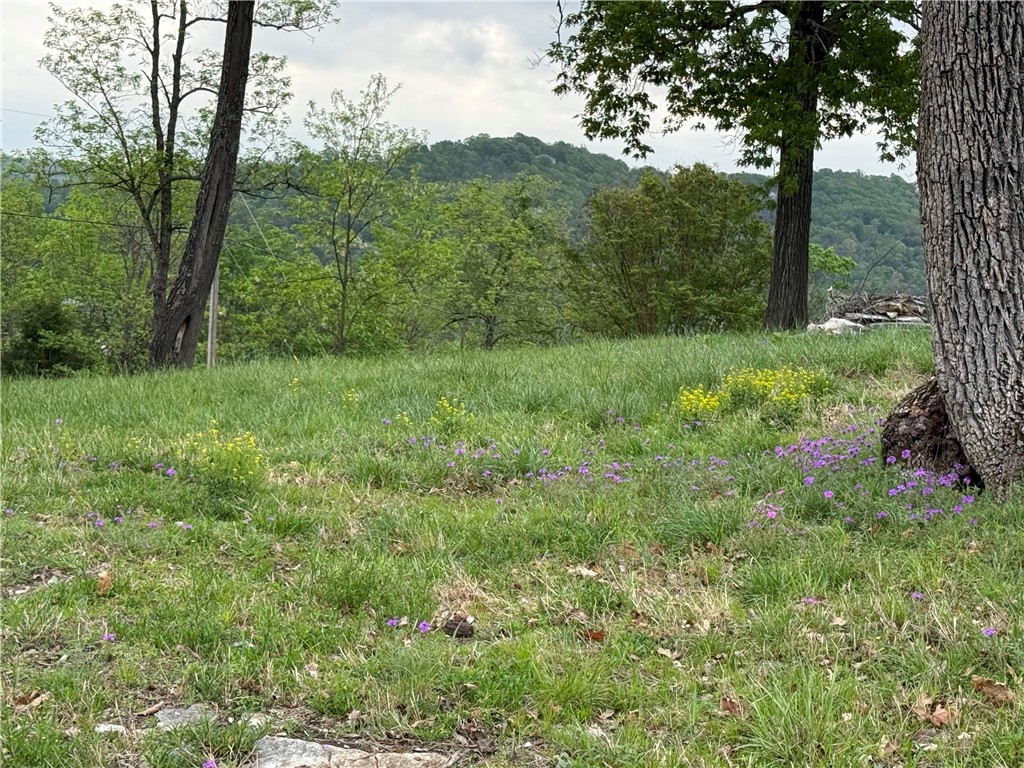 Holiday Island - Land