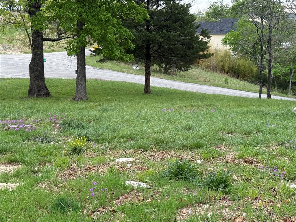 Holiday Island - Land