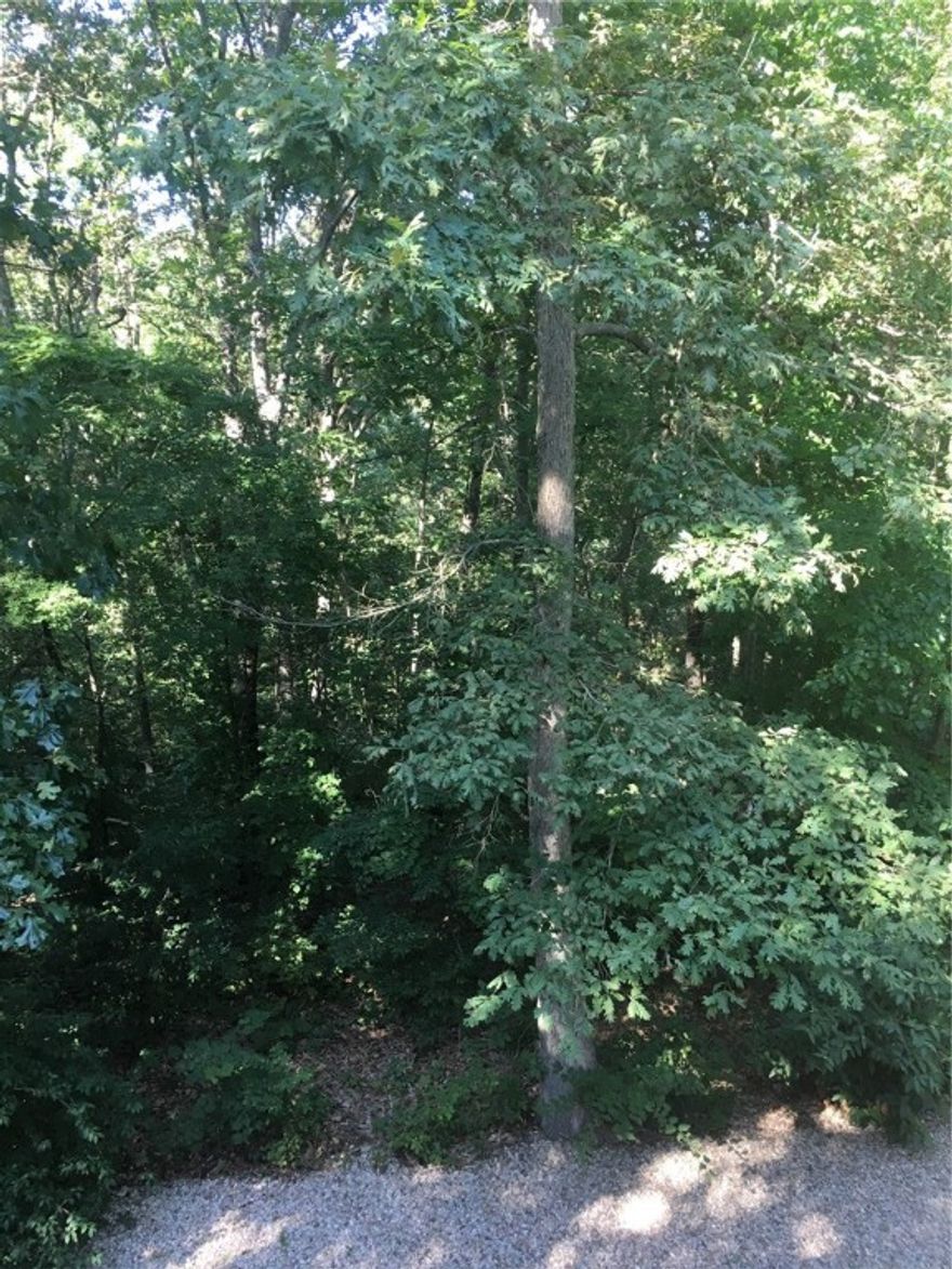 Nice building lot on central sewer