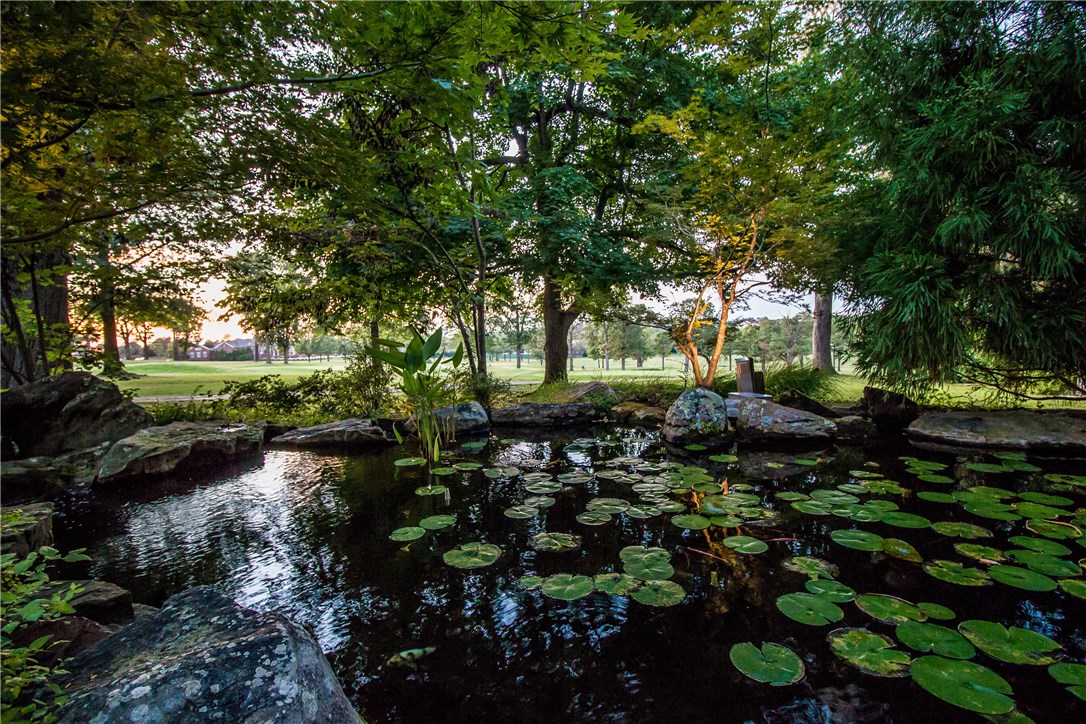 Springdale Outlots - Residential