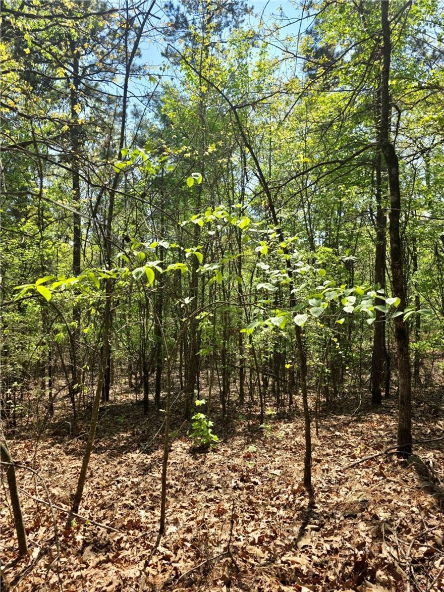 Tucked away just about 15 minutes or so North of Clarksville, this beautiful 10 acre tract offers the kind of privacy and natural surroundings that are getting harder to find.  Bordering thousands of acres of National Forest on two sides, you'll enjoy unmatched access to nature, wildlife, and endless outdoor adventure right out your back door.  Whether you're looking to build your dream home, create a weekend retreat, or invest in land with future potential, this property checks all the boxes.  The timber is an added bonus, with harvest potential in approximately 8-10 years, offering an opportunity for future return.  Peaceful, private, and full of possibility - this  is land you don't want to miss!