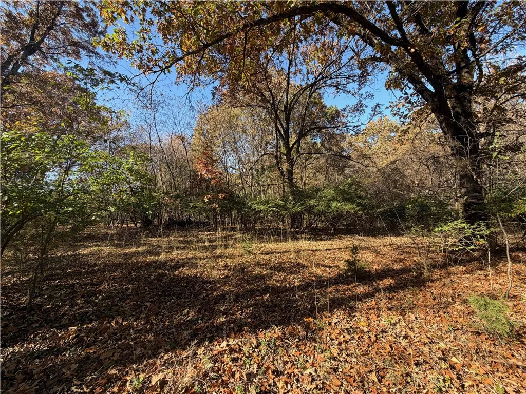 Fayetteville, Arkansas 72704, United States, 3 Bedrooms Bedrooms, ,2 BathroomsBathrooms,Residential,Active,242639