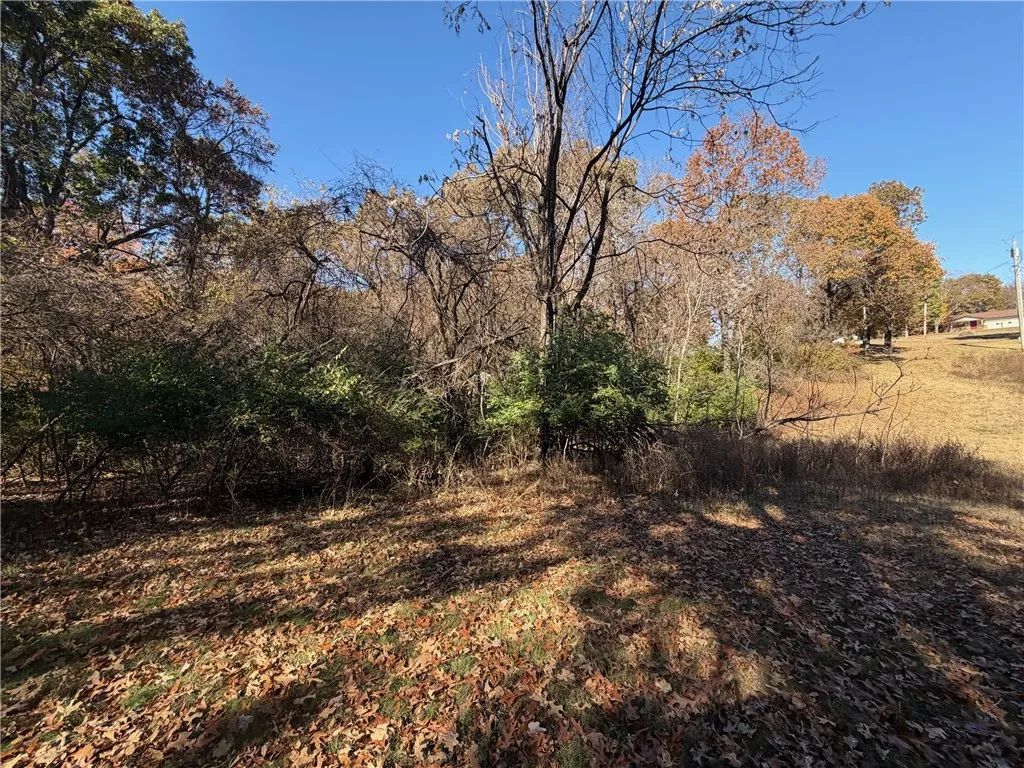 Fayetteville, Arkansas 72704, United States, 3 Bedrooms Bedrooms, ,2 BathroomsBathrooms,Residential,Active,242639