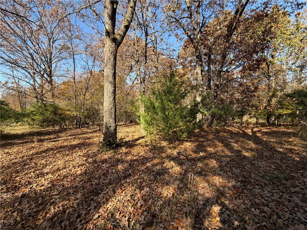 Fayetteville, Arkansas 72704, United States, 3 Bedrooms Bedrooms, ,2 BathroomsBathrooms,Residential,Active,242639