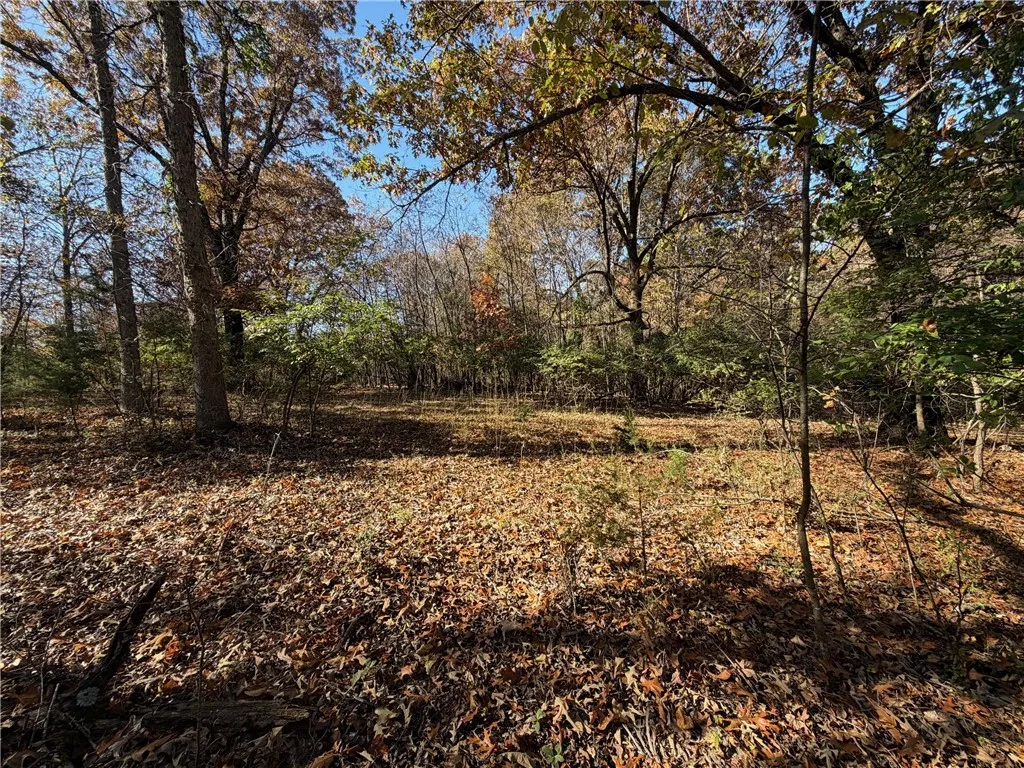 Fayetteville, Arkansas 72704, United States, 3 Bedrooms Bedrooms, ,2 BathroomsBathrooms,Residential,Active,242639