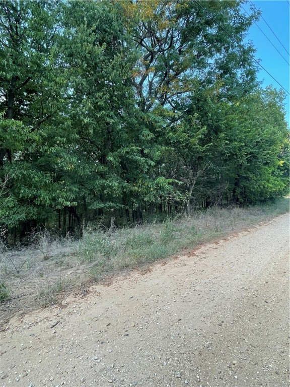 Looking for your own secluded getaway without being too far from town? This one is it! Wooded property on a dead-end country road, but only 10 minutes from Lincoln. Want to build? Utilities are close by and easy to access. Seller will consider dividing into smaller tracts as well! Exact acreage and boundaries subject to new survey as this is being split from a parent tract.