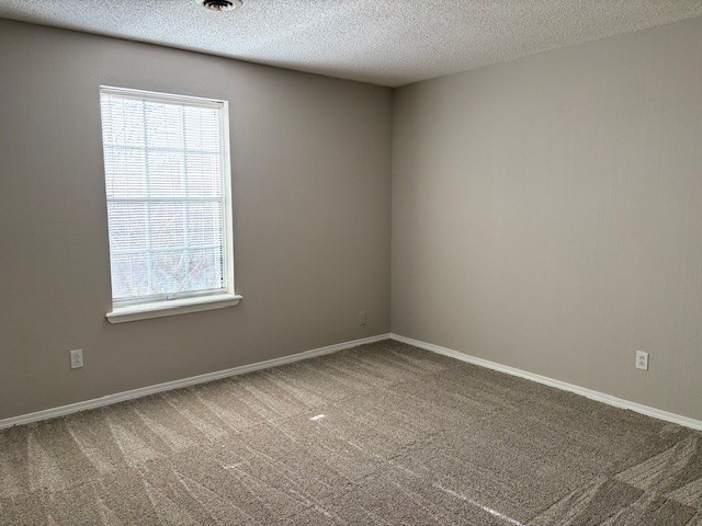 Turtle Creek Place Unit 1 Rogers - Residential