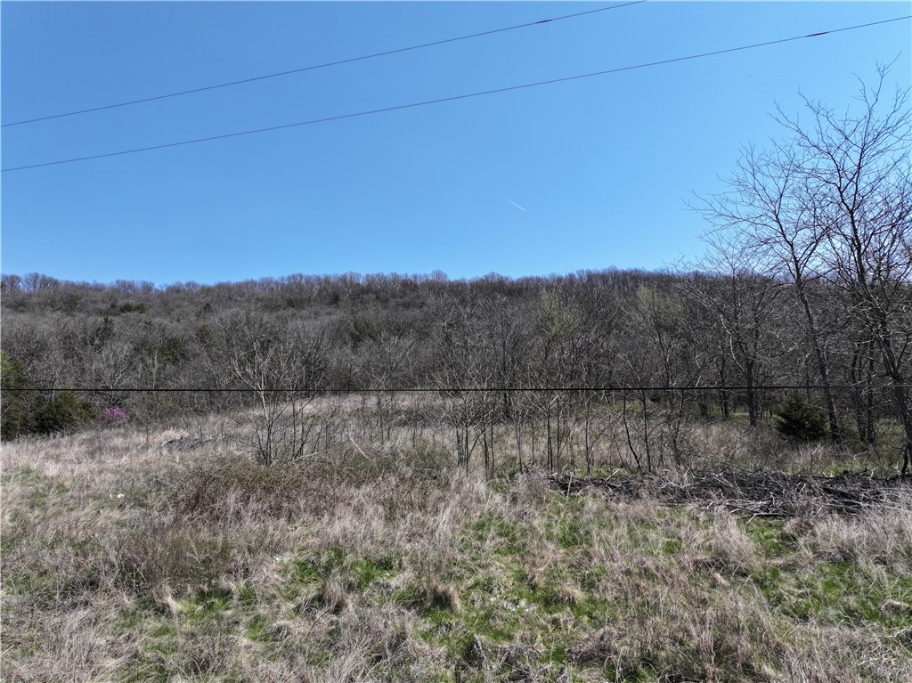 6.25 acres m/l of land with several building sights to choose from. Your opportunity to build your dream home outside the city limits. Only a few miles south to Berryville and a short distance to Branson.